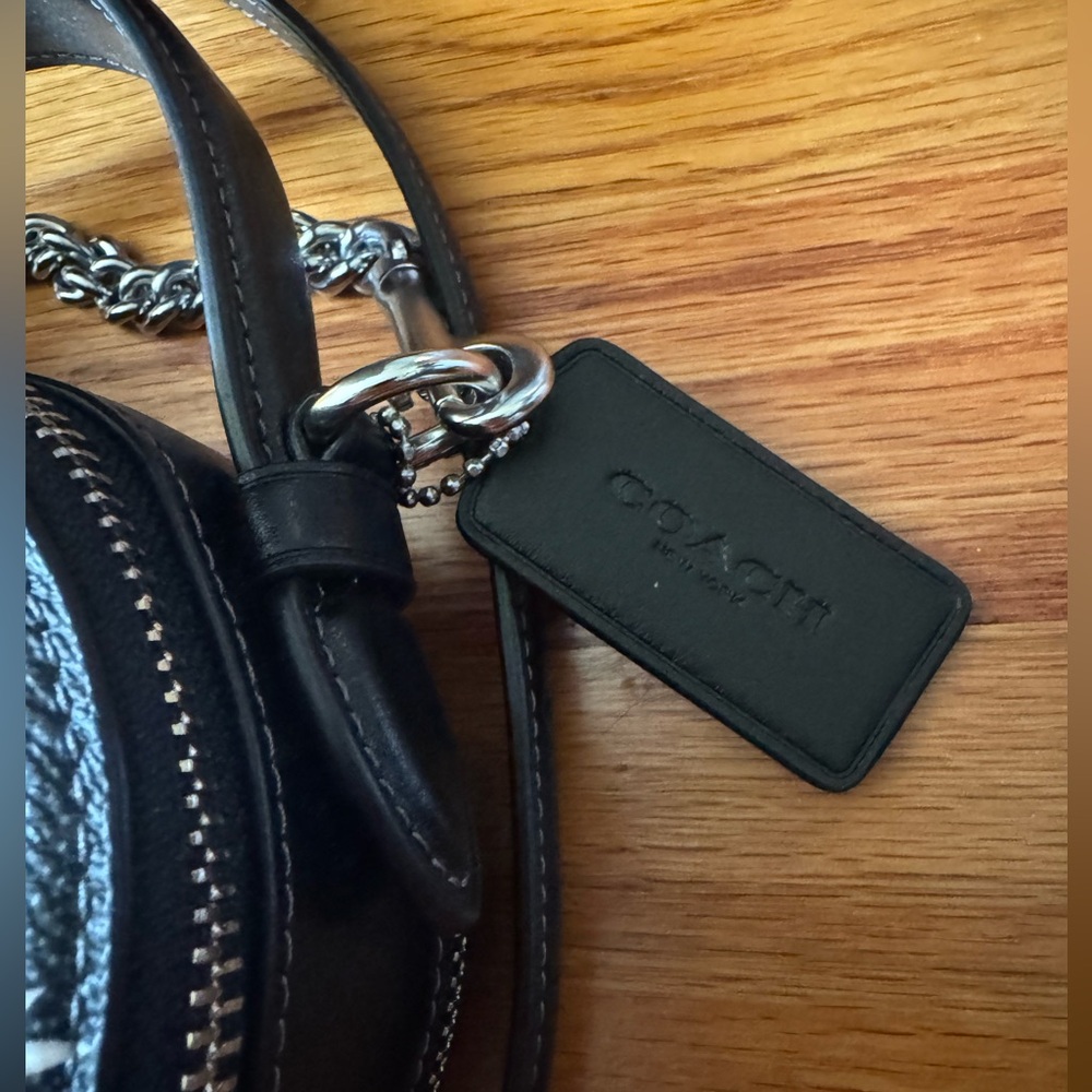 Coach Heart Mini Crossbody Bag with Bow Print - NWT $350 MSRP - Picture 5 of 11